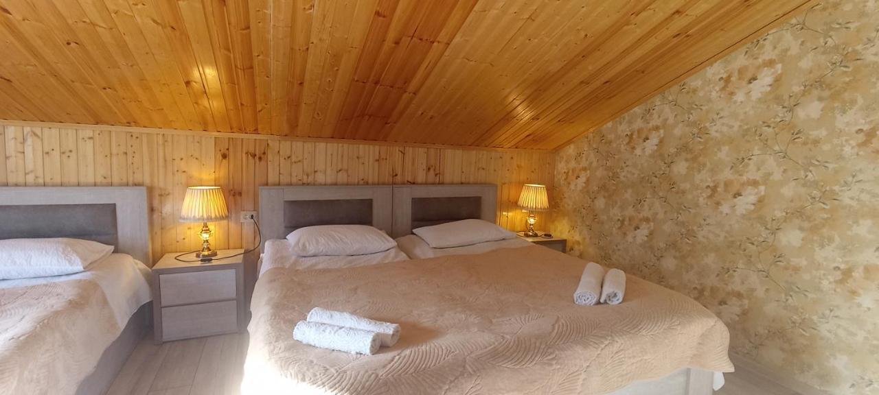 Guest House Tamta كازباجي المظهر الخارجي الصورة