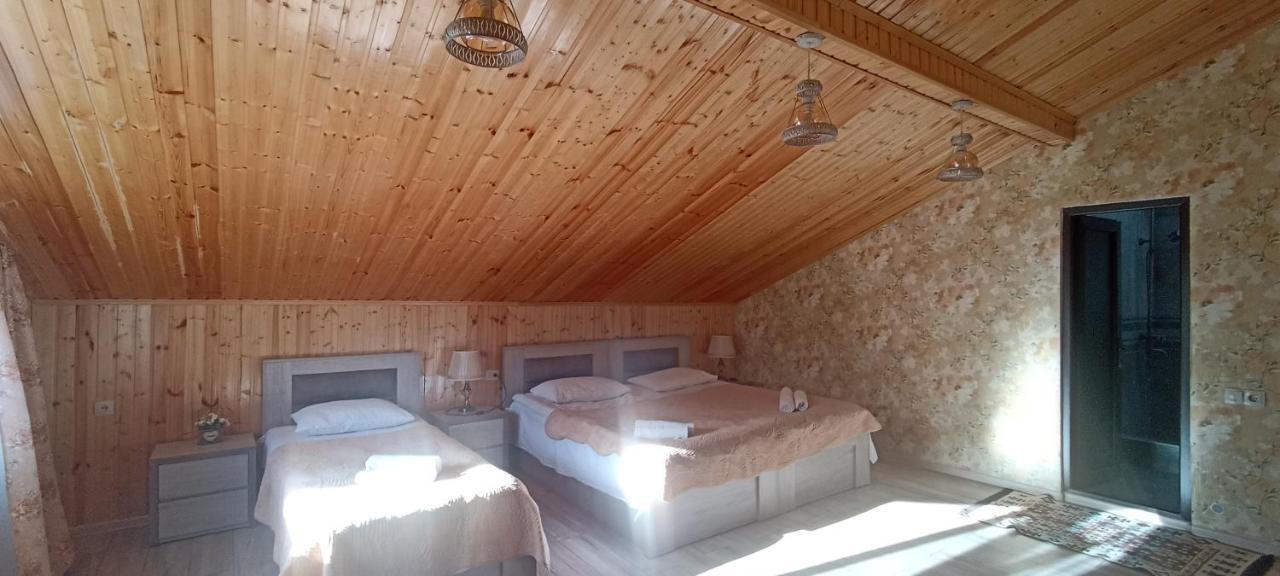 Guest House Tamta كازباجي المظهر الخارجي الصورة