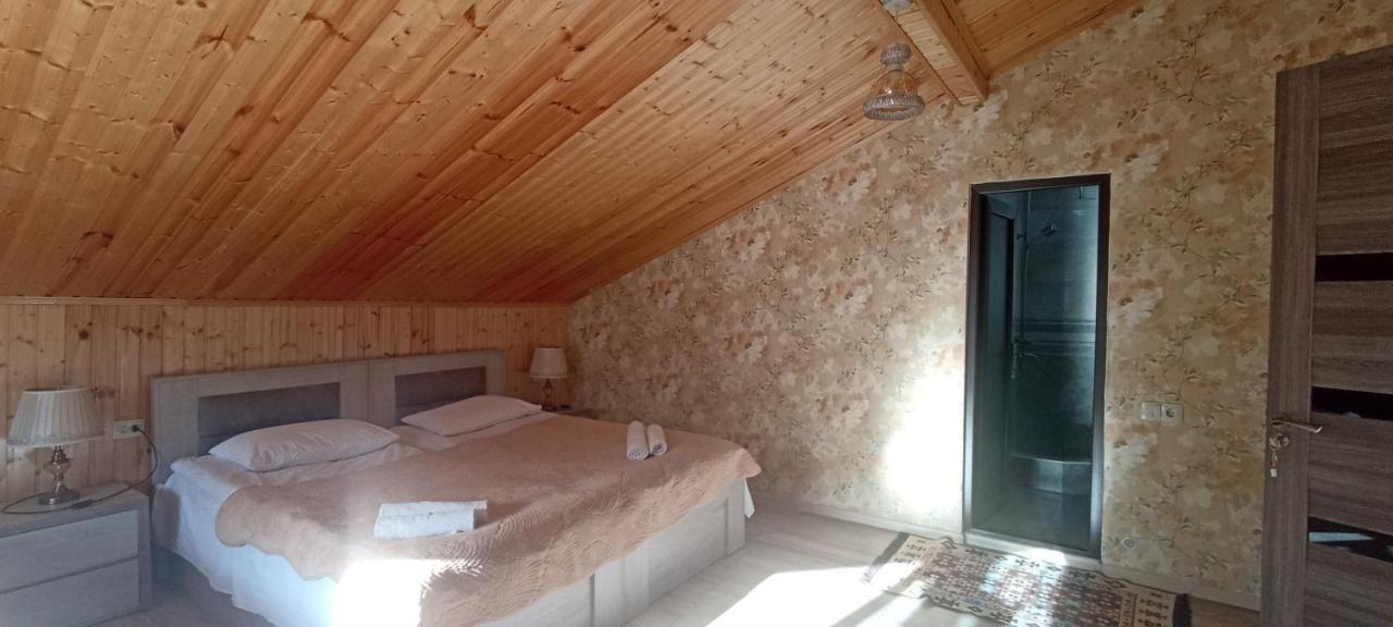 Guest House Tamta كازباجي المظهر الخارجي الصورة